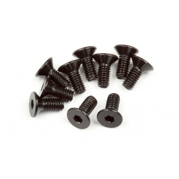 Flat Head Screw M2.5X6Mm (Hex Socket/10Pcs)