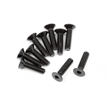 Flat Head Screw M2.5X10Mm (Hex Socket/10Pcs)