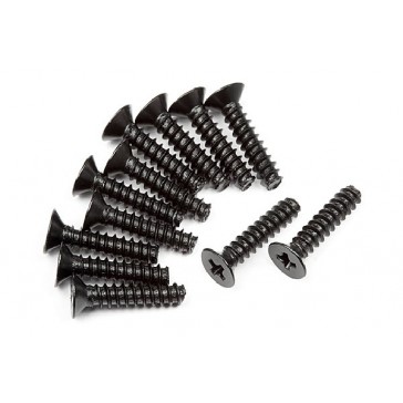 Tp. Flat Head Screw M2.6X12Mm (12Pcs)