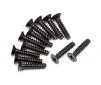 Tp. Flat Head Screw M2.6X12Mm (12Pcs)