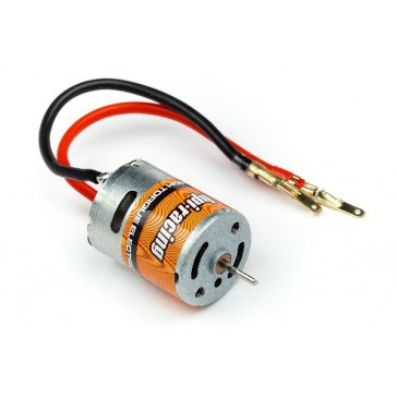 Hpi Rm-18 21 Turn Motor (Recon)