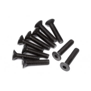 Flat Head Screw M3X14Mm (Hex Socket/10Pcs)