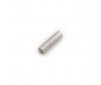 GO.18 PISTON GUDGEON PIN 4 X14 FOR RTR