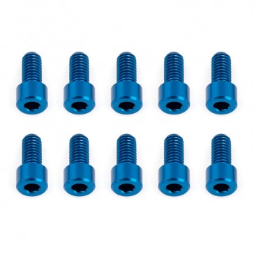 RC12R6 REAR HUB SCREW (M3 - SMALL HEAD)