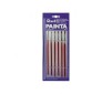 "Painta Standard" Brushes - 6pcs (Blister)