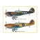 P-40E Kitty Hawk Fighter 1/48