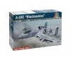 A10C BLACKSNAKES 1/48