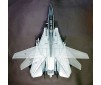 Grumman F-14A Tomcat