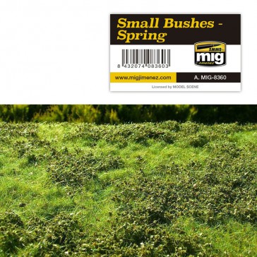 SMAL BUSHES - SPRING VEGETATION