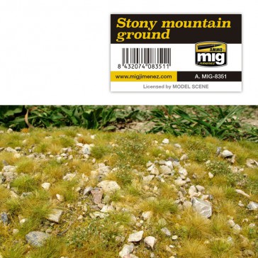 STONY MOUNTAIN GROUND VEGETATION