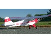 1/7 Plane 1400mm J3 V3 PNP kit with Floats w/ reflex system