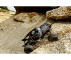 1/10 GOM ROCK CRAWLER KIT