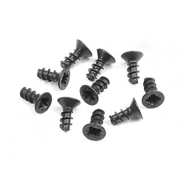 Screw Phillips Fh 2.5X6 (10)