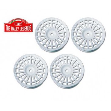 Delta type white spokes Rim (4)