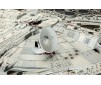 SW MILLENNIUM FALCON - 1:72