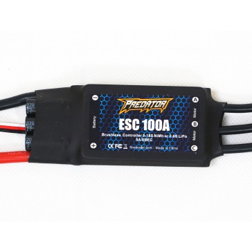 100A ESC (Hobbywing)