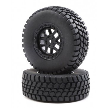 Alpine Wheel and Tire Mounted (2): BR