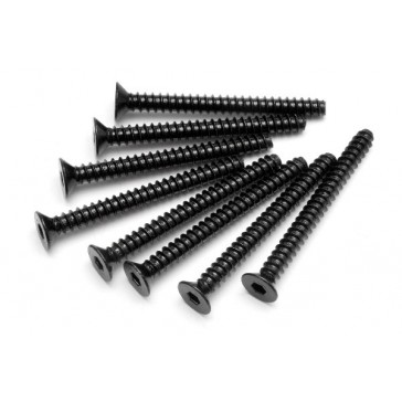 Tp Flat Head Screw M4X40Mm (Hex Socket/8Pcs)