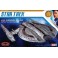 Star Trek USS Shenzhou SNAP  1/2500