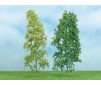 Set de 2 arbres feuillus 20cm