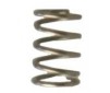 Acc. Plunger spring