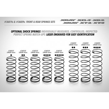 FRONT SPRING-SET L:42MM - 1 DOT (2)