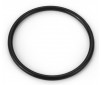 O-RING FOR VACUUM PUMP 60x4 (1)