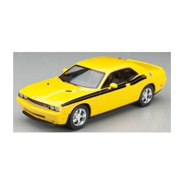 '10 Dodge R/t Cl.det.          1/25