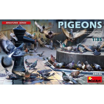 PIGEONS 1:35