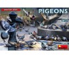 PIGEONS 1:35