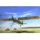 Fieseler Fi-156 A-0/C-1 Storch 1/35