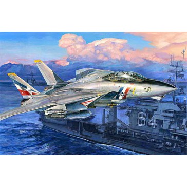 F-14D Super Tomcat 1/32