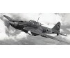 IL-2 STORMOVIK (9/20) *