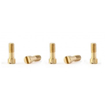 METRIC SCREWS M2X5MM BRASS 5X