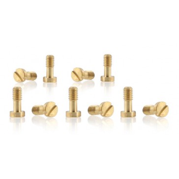 METRIC SCREWS M2.5X6MM FOR CARRERA BRASS 10X