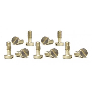 METRIC SCREWS 2.2X5.3MM BIG HEAD 10X