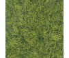 Scenery - Wild Tuft - Jungle (Extra large)