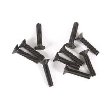 M2.5 x 12mm, Flat Head Screw (10)