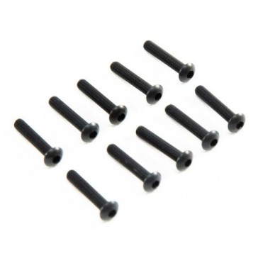 M3 x 16mm, Button Head Screw (10)