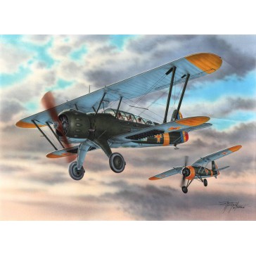 IAR-38 Rumanian Reconnaissance Plane   1:72