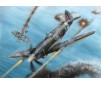 Spitfire F Mk.21 No.91 Sq.RAF in WWII   1:72