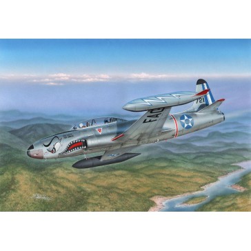 T-33 Japanese and South American T-Birds   1:32