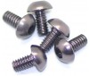 Alu Screw Allen Roundhead M2 x 4 Gray (5)