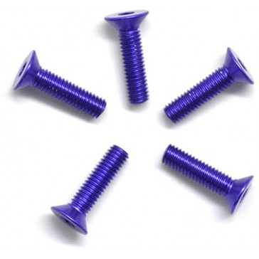 Alu Screw Allen Csk M3 x 12 Purple (5)