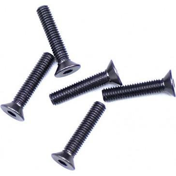 Alu Screw Allen Csk M3 x 15 Gray (5)