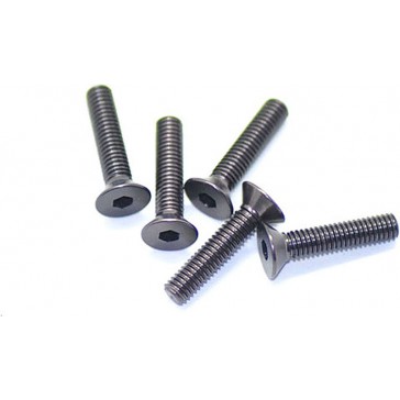 Alu Screw Allen Csk M3 x 14 Gray (5)