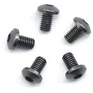 Alu Screw Allen Roundhead M3 x 5 Gray (5)