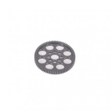 Lockout 76T Spur Gear  - Cougar-Laydown