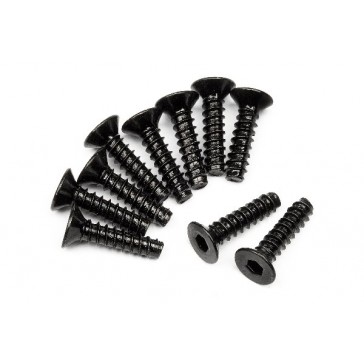 Tp. Flat Head Screw M3X12Mm (Hex Socket/10Pcs)