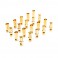 Gold Bullet Connector Set, 5.5mm (10)